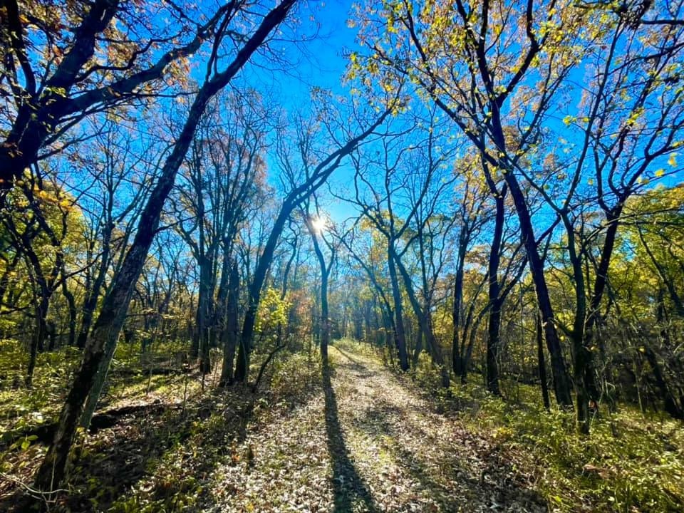 Clanton Creek Natural Resource Area photo