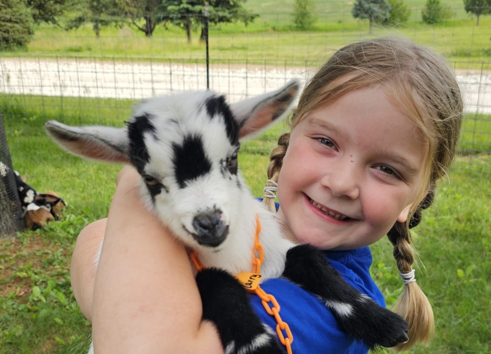 Howell's Greenhouse and Pumpkin Patch photo